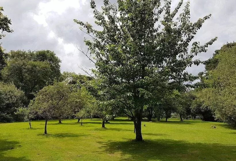 The Wriggly Tin & Baa Spa At Tregoose Old Mill