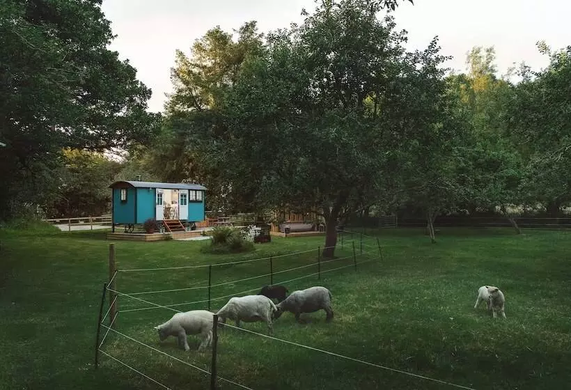 The Wriggly Tin & Baa Spa At Tregoose Old Mill