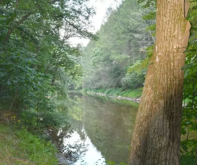 Mishka At Sleepy Creek