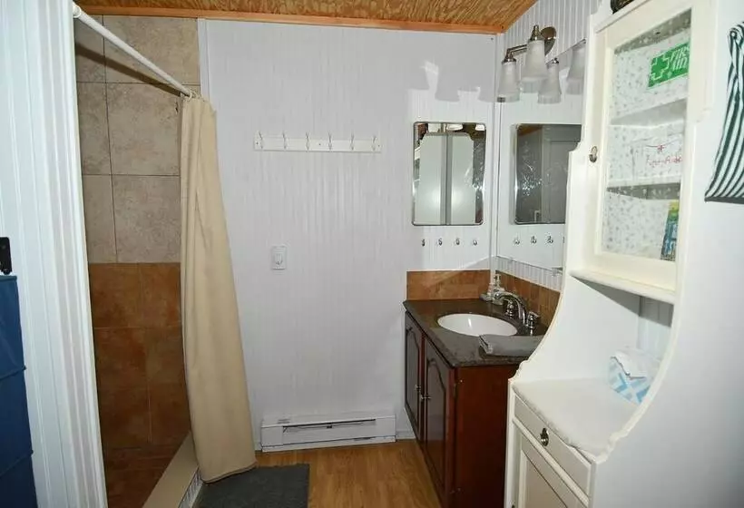 Mishka At Sleepy Creek