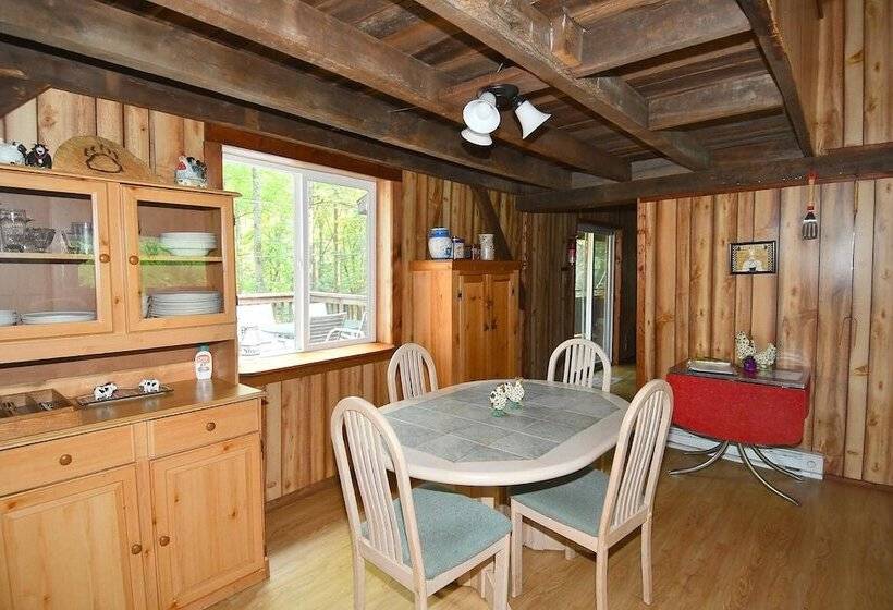 Mishka At Sleepy Creek