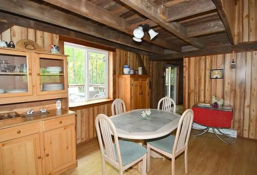 Mishka At Sleepy Creek