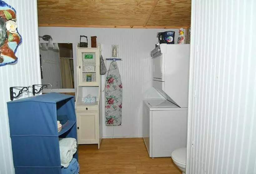 Mishka At Sleepy Creek