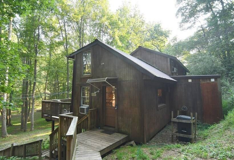 Mishka At Sleepy Creek