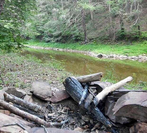 Mishka At Sleepy Creek