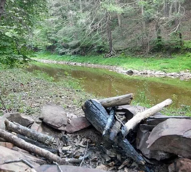 Mishka At Sleepy Creek