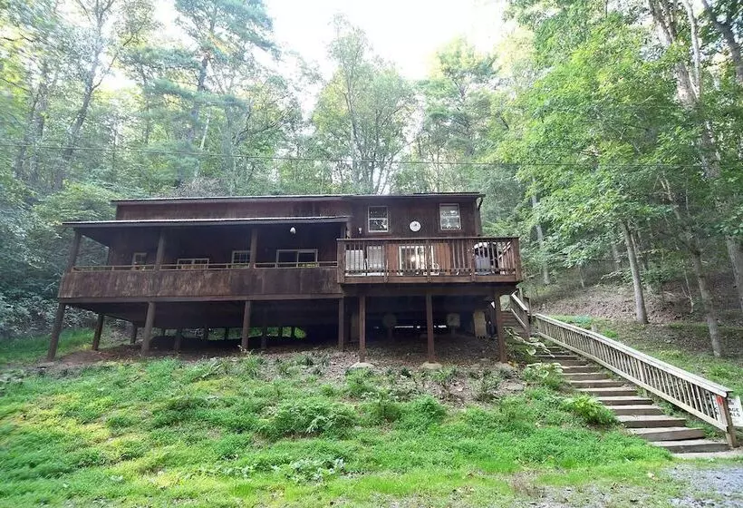 Mishka At Sleepy Creek