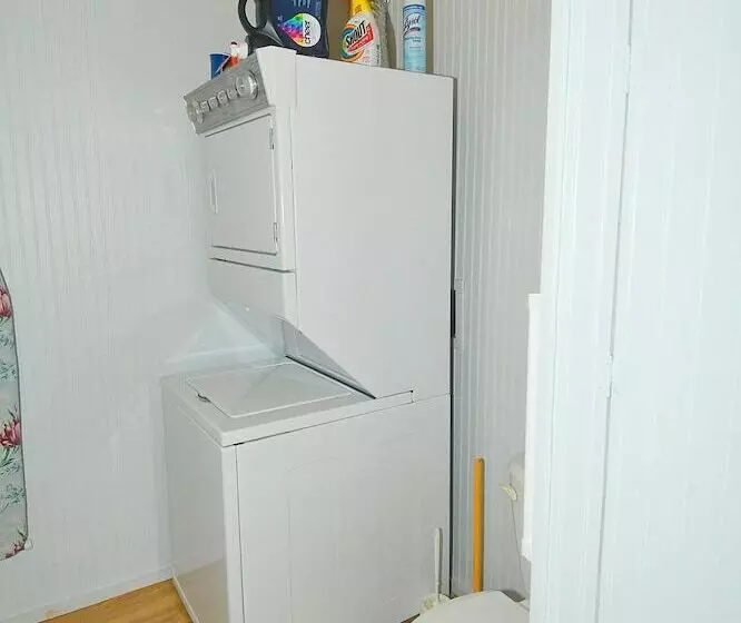 Mishka At Sleepy Creek