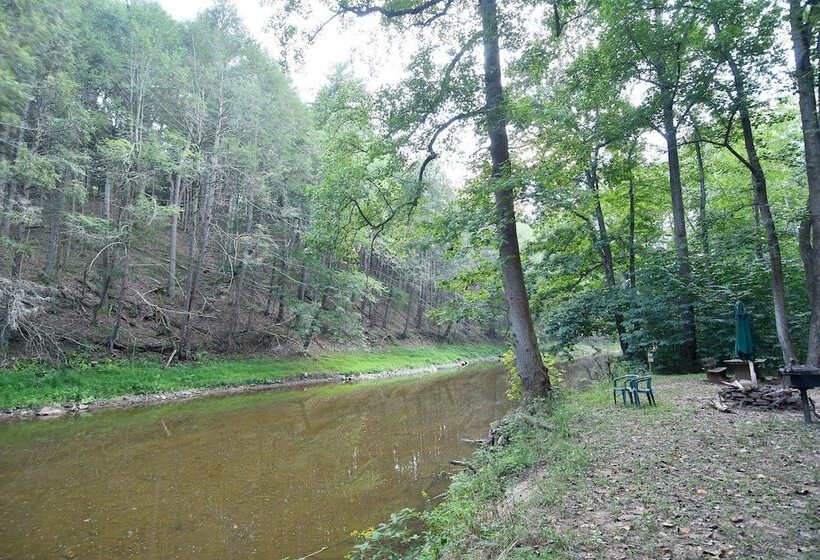 Mishka At Sleepy Creek