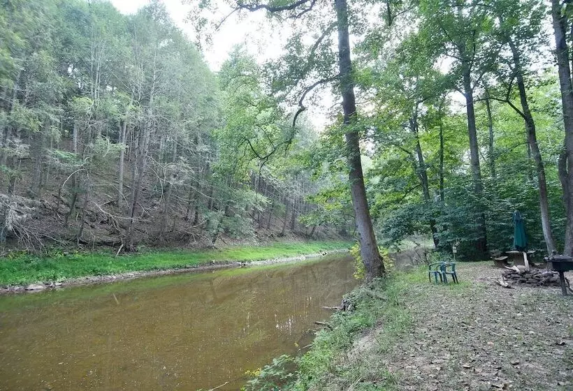 Mishka At Sleepy Creek