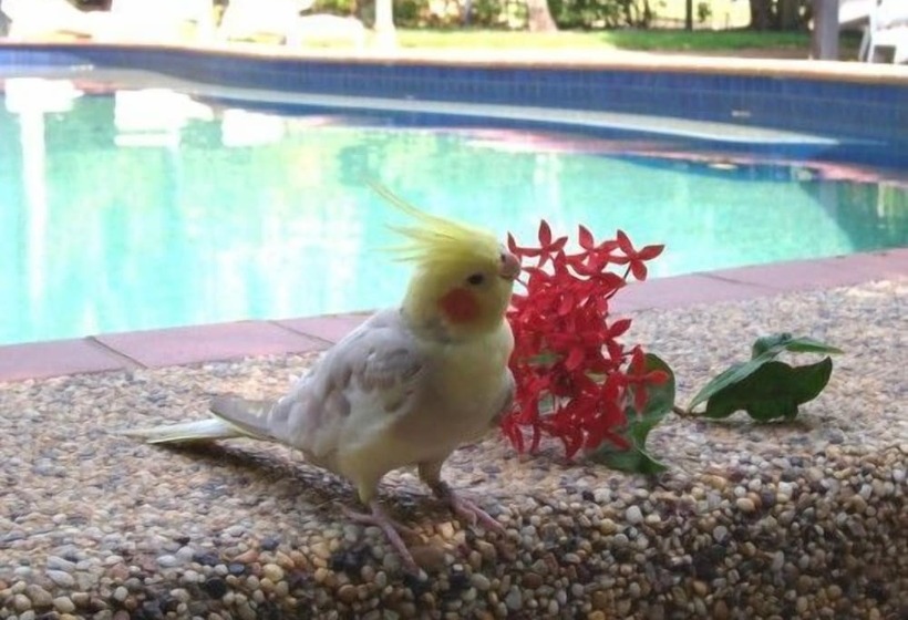 Hidden Valley Holiday Park Darwin