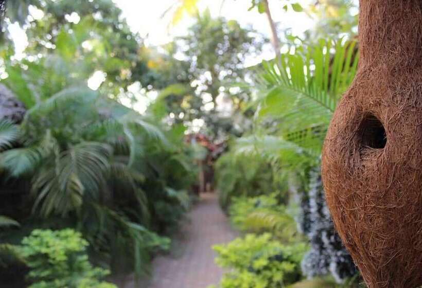 Hôtel The Palm Trees Resort