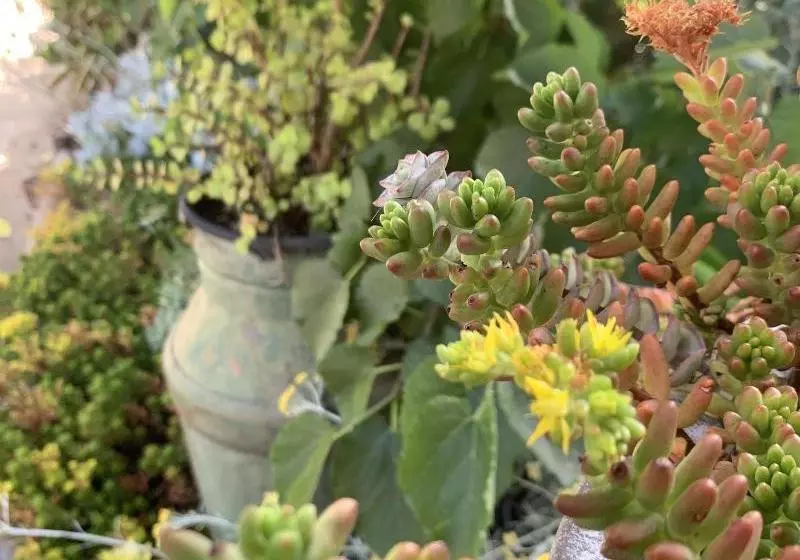 Majatalo Sweet Dreams Retreat At Lara