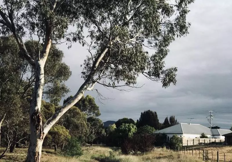 Majatalo Sweet Dreams Retreat At Lara