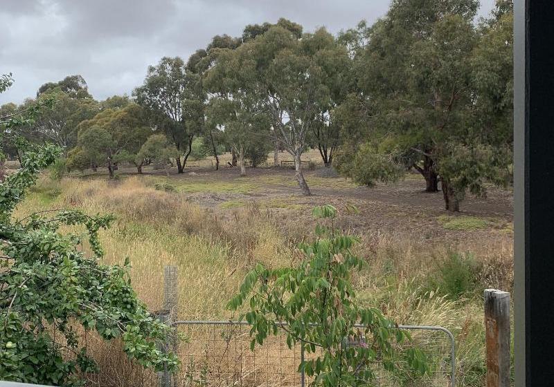 Пансион Sweet Dreams Retreat At Lara