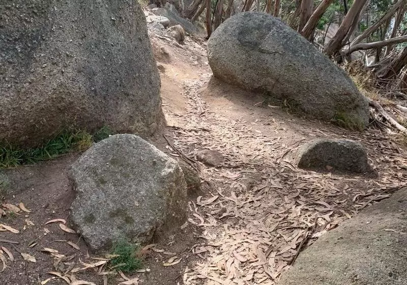 Majatalo Sweet Dreams Retreat At Lara