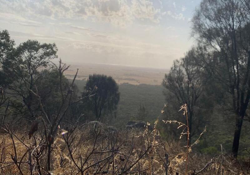 Пансион Sweet Dreams Retreat At Lara