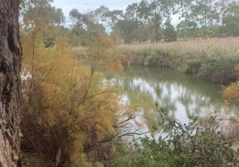 Majatalo Sweet Dreams Retreat At Lara