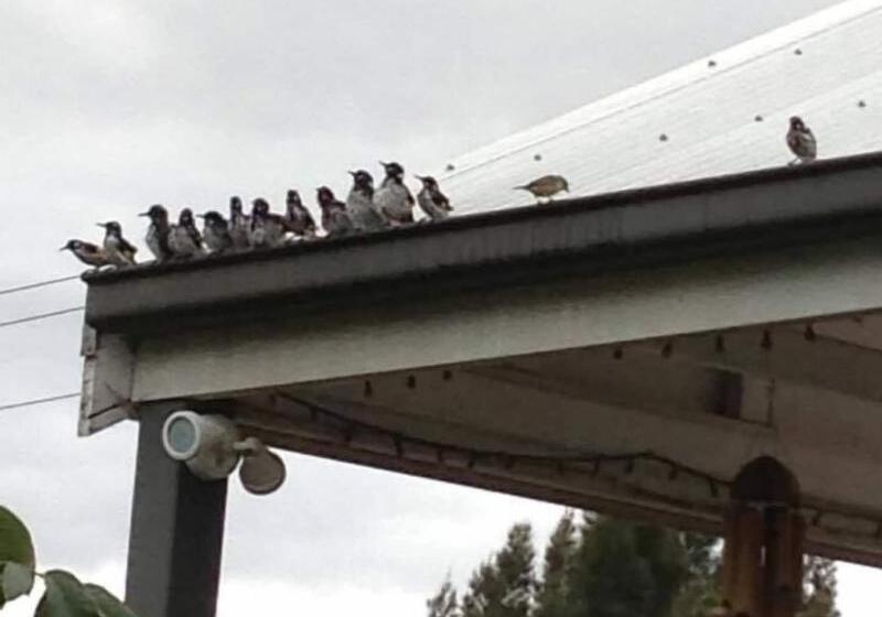 Пансион Sweet Dreams Retreat At Lara