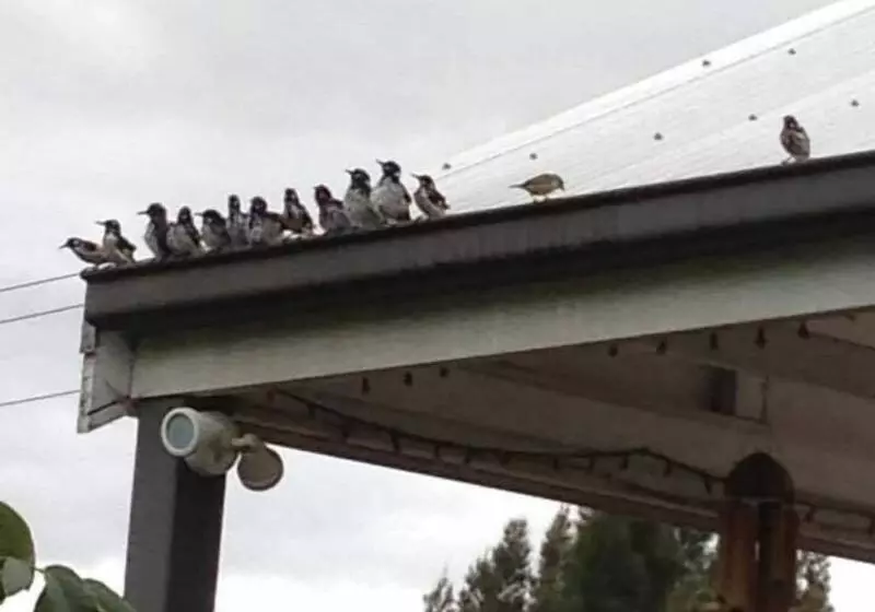 Majatalo Sweet Dreams Retreat At Lara