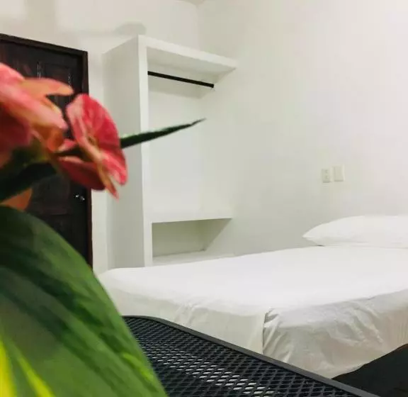 هتل Casa Tacuba