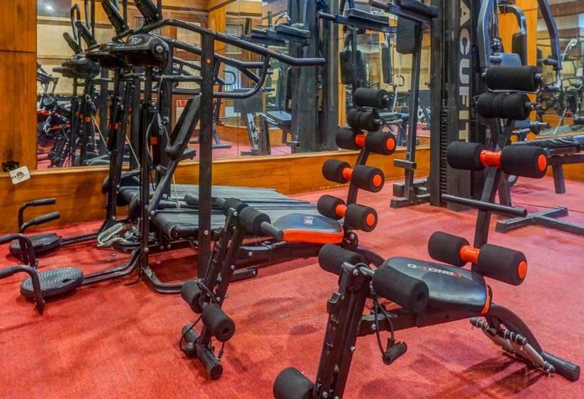 בית מלון כפרי Oyo 3967  Banua