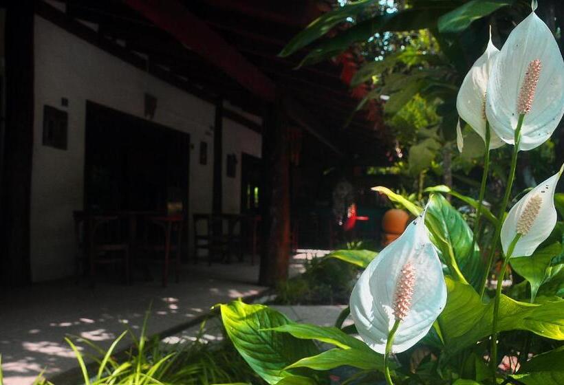 Пансион Pousada Baobá