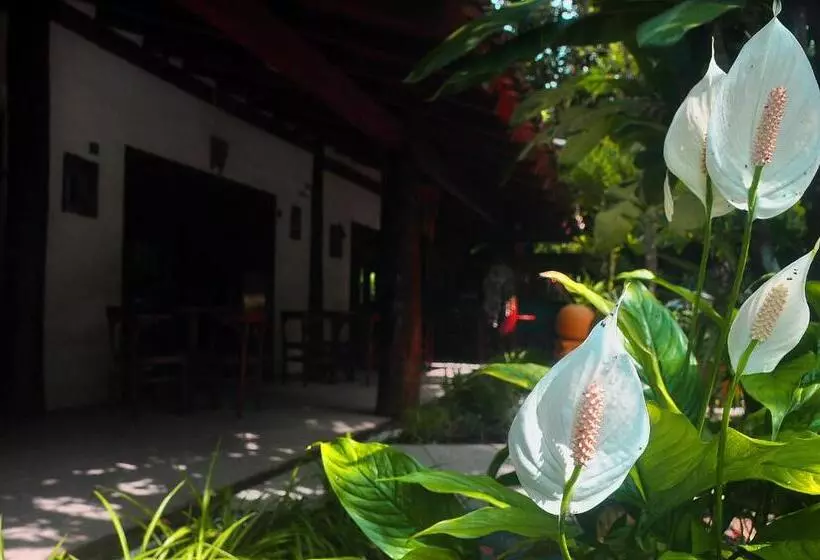 ペンション Pousada Baobá