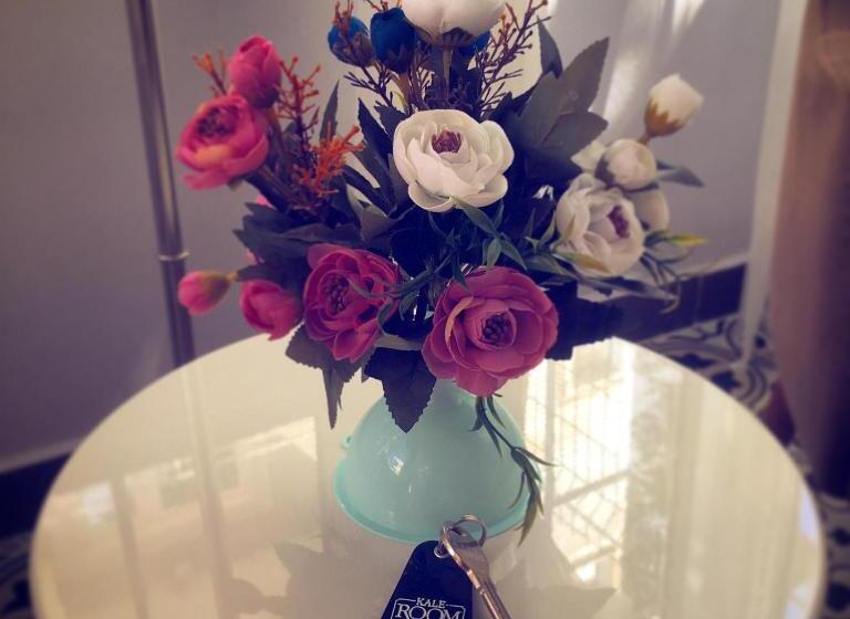 酒店 Kaleroom Edi̇rne