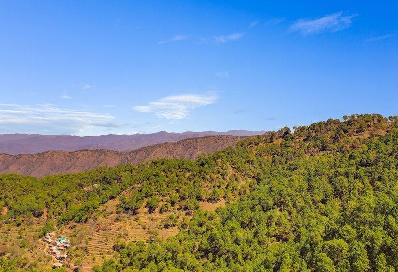 Lemon Tree Hotel, Kasauli