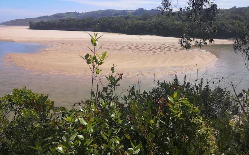 هاستل Langre Wayve House