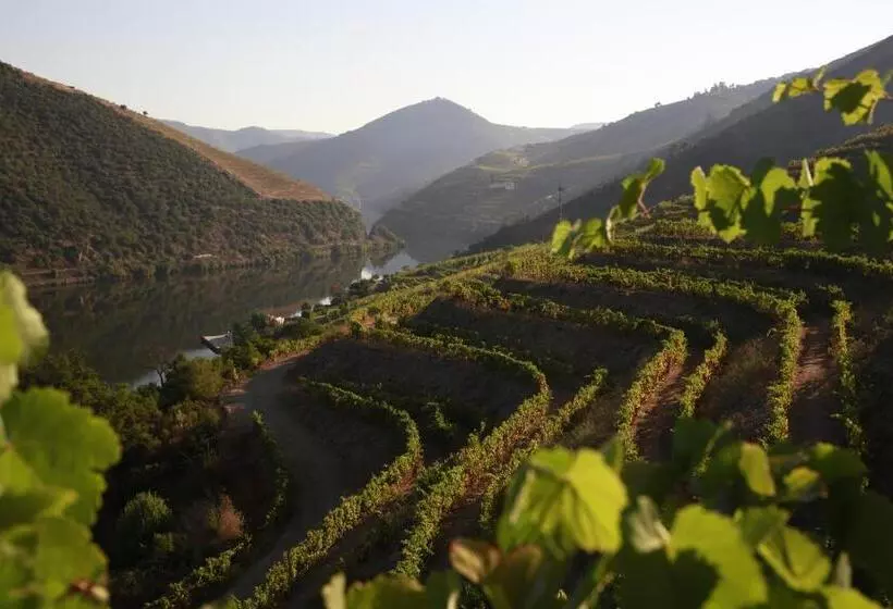ベッドアンドブレックファースト Casa Da Piscina, Quinta Do Espinho, Douro Valley