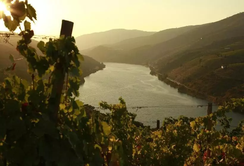 ベッドアンドブレックファースト Casa Da Piscina, Quinta Do Espinho, Douro Valley