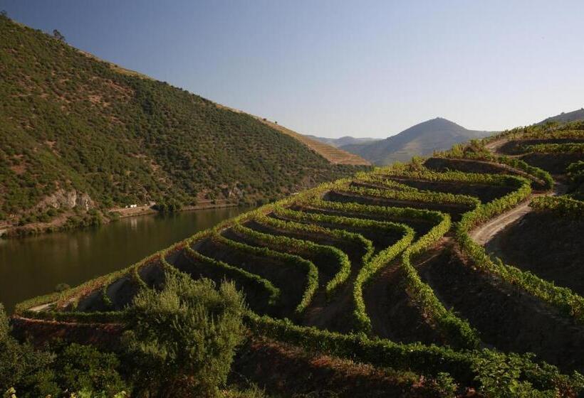 تختخواب و صبحانه Casa Da Piscina, Quinta Do Espinho, Douro Valley