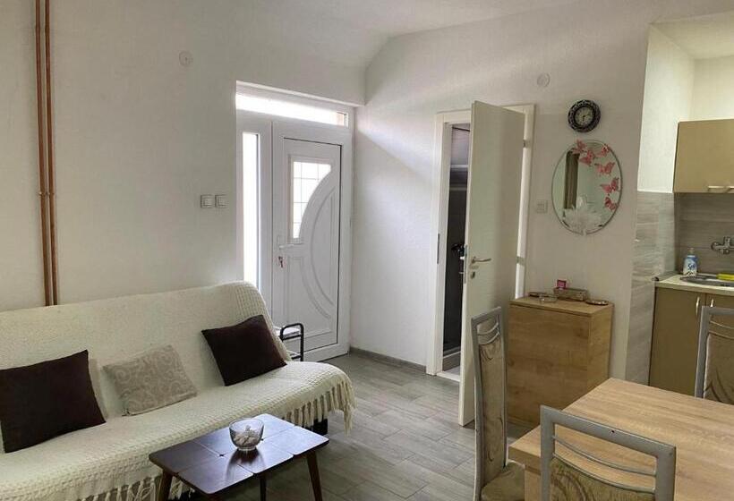 پانسیون Petković Apartman