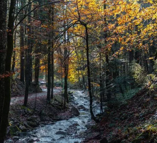 Berghotel Sonnenbichl