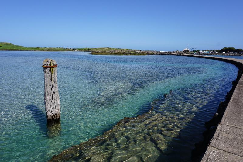 Ashmont Motel And Apartments