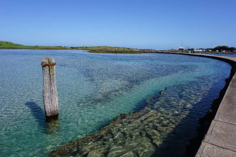Ashmont Motel And Apartments