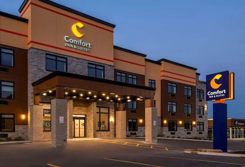 ホテル Comfort Inn & Suites