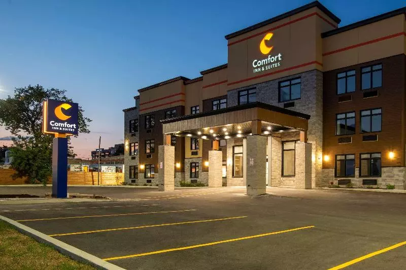 ホテル Comfort Inn & Suites