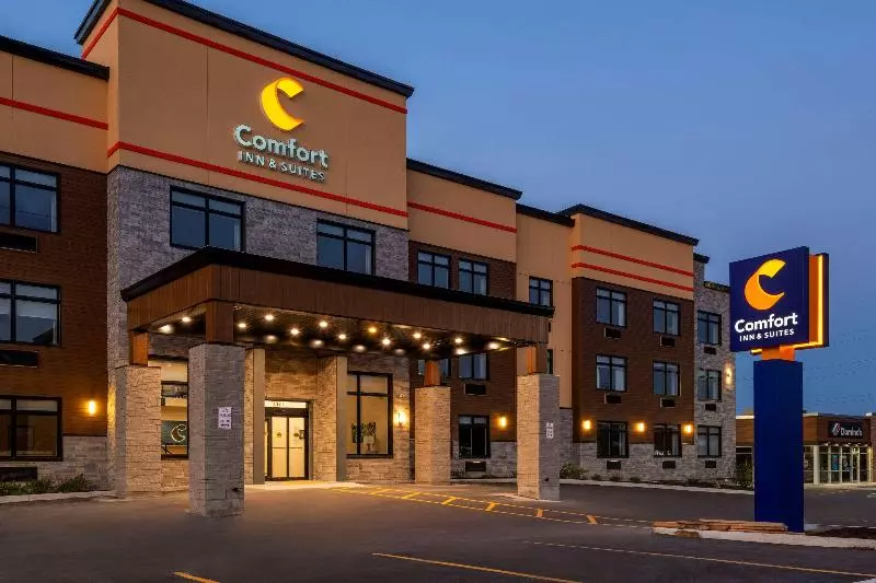 ホテル Comfort Inn & Suites