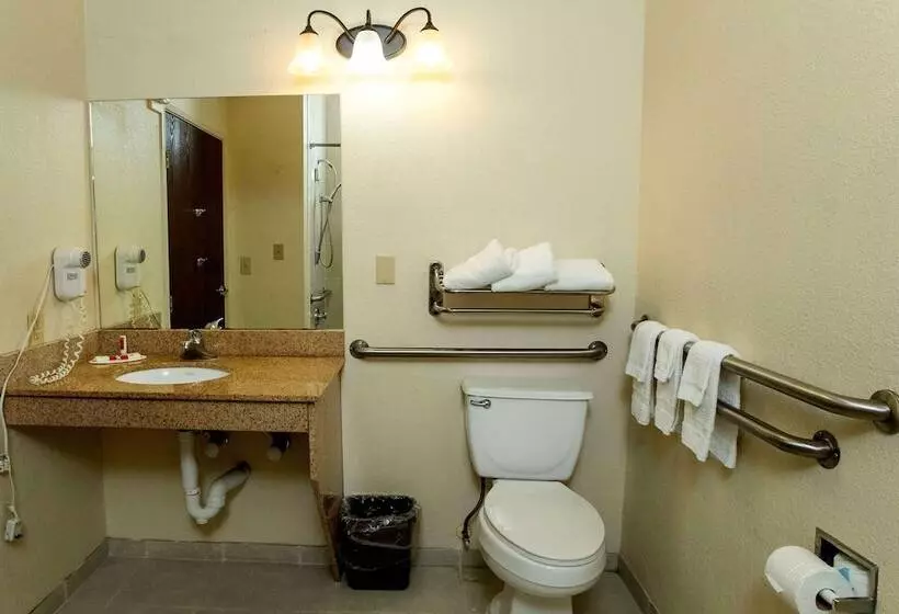 ホテル Days Inn & Suites By Wyndham Houston North/aldine