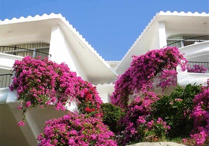 Otel Dolphin Cove Inn