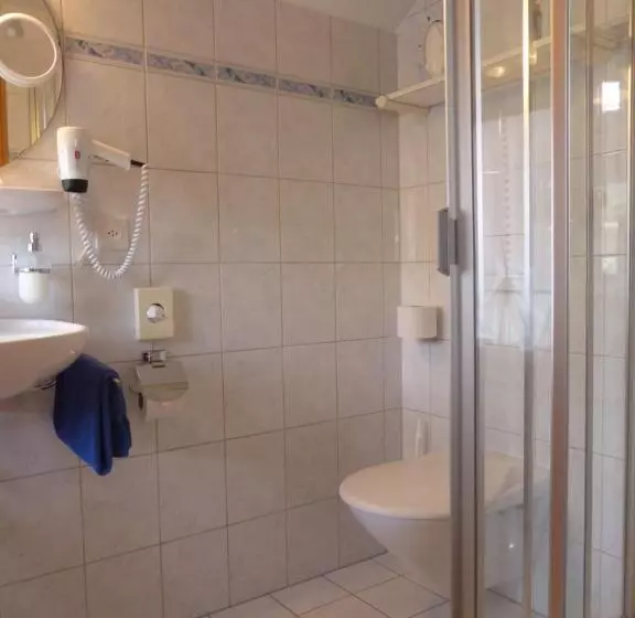 Отель Pension Alpina