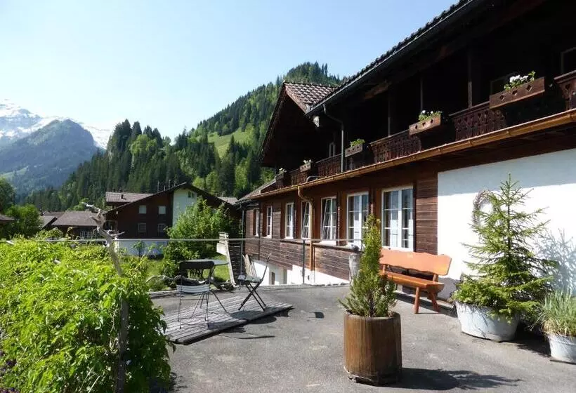 Отель Pension Alpina