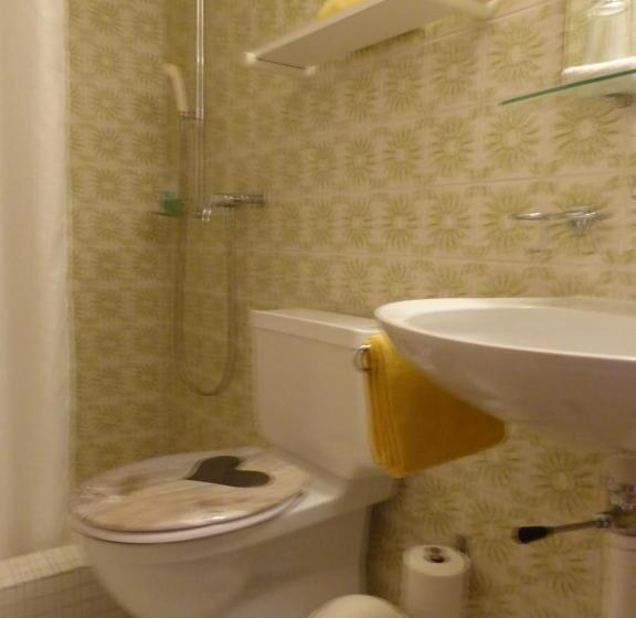 هتل Pension Alpina