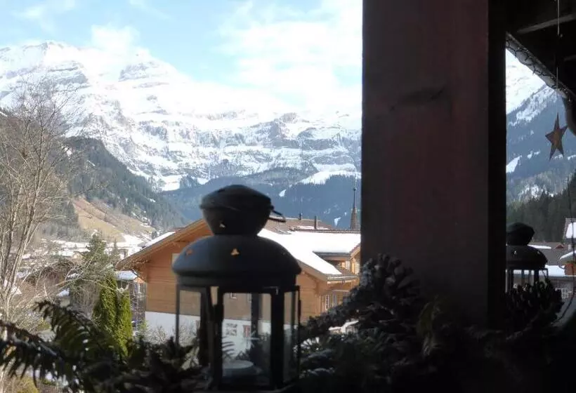 Отель Pension Alpina