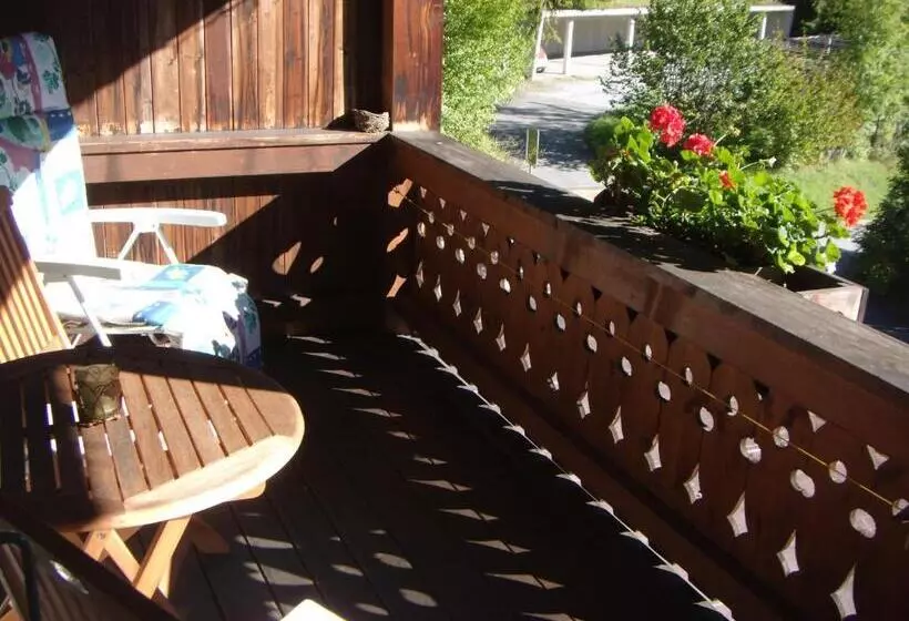 Отель Pension Alpina