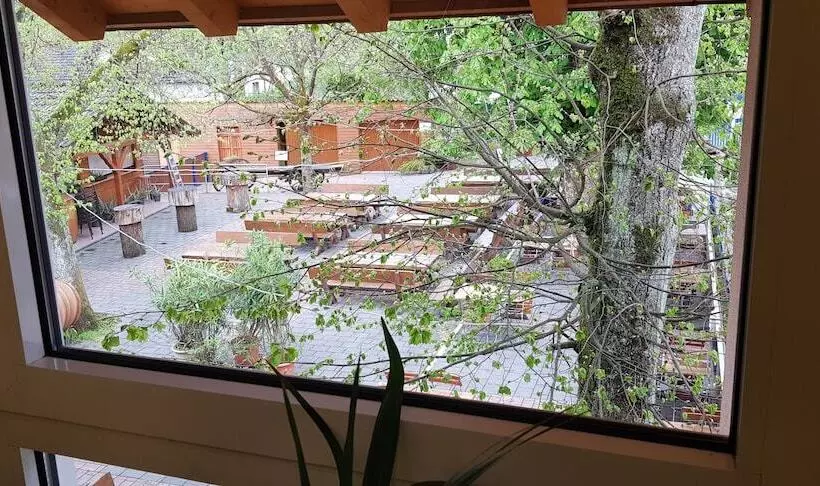 호텔 Restaurant Frohlich