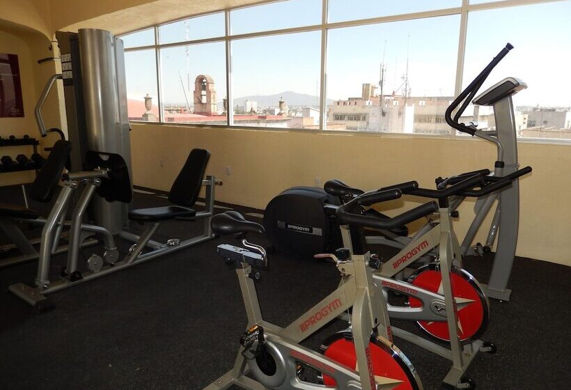 בית מלון כפרי Roma Guadalajara In Downtown